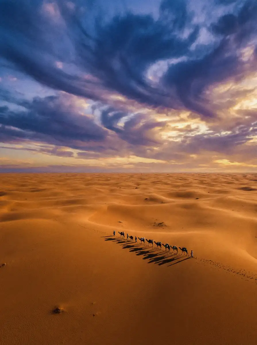 纪录片《丝路回响》 - 17c.com 项目